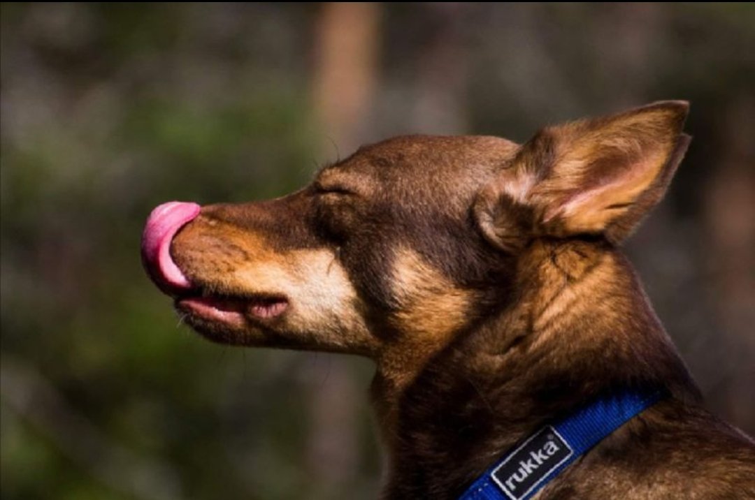 Tero Moilanen tweet media