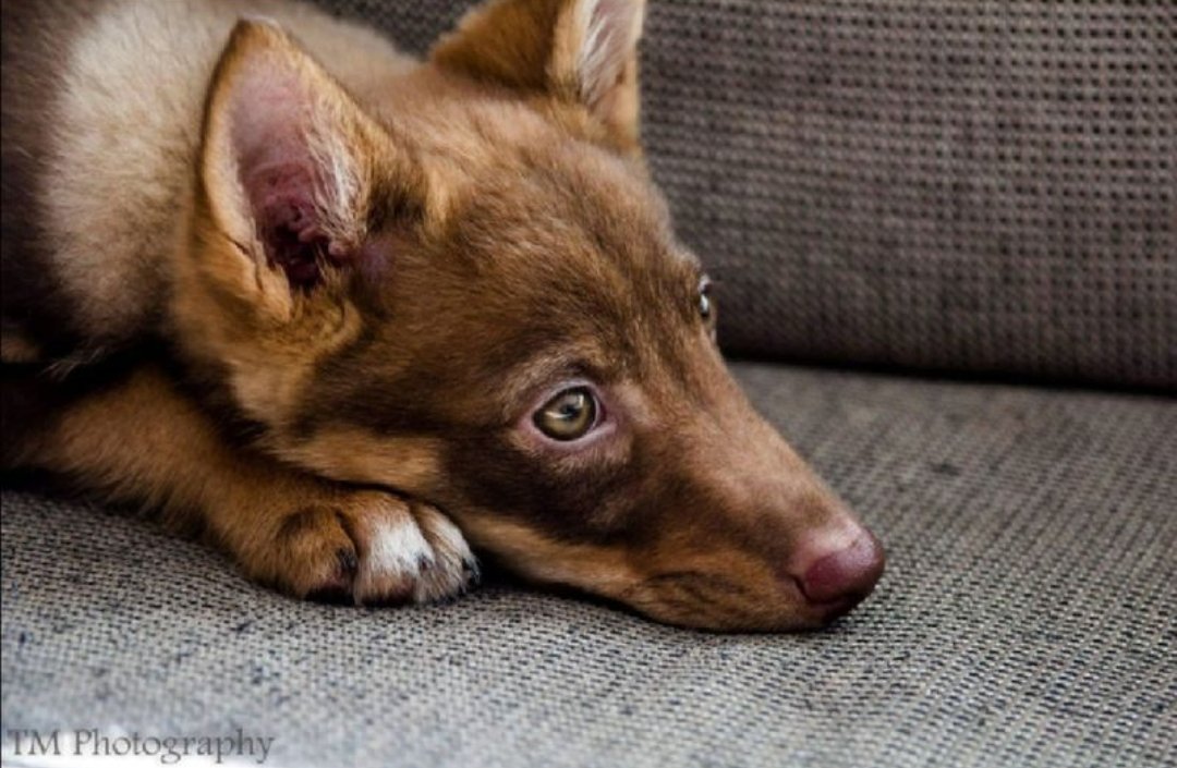 Tero Moilanen tweet media