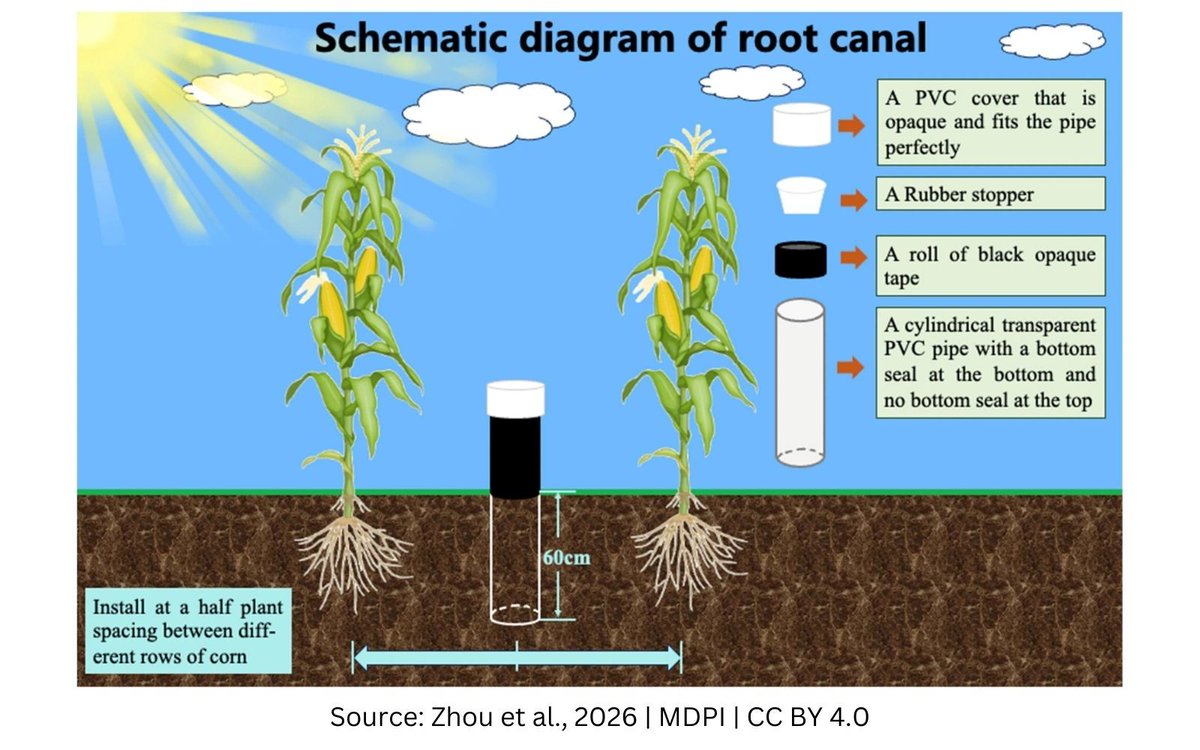 CID Bio-Science tweet media