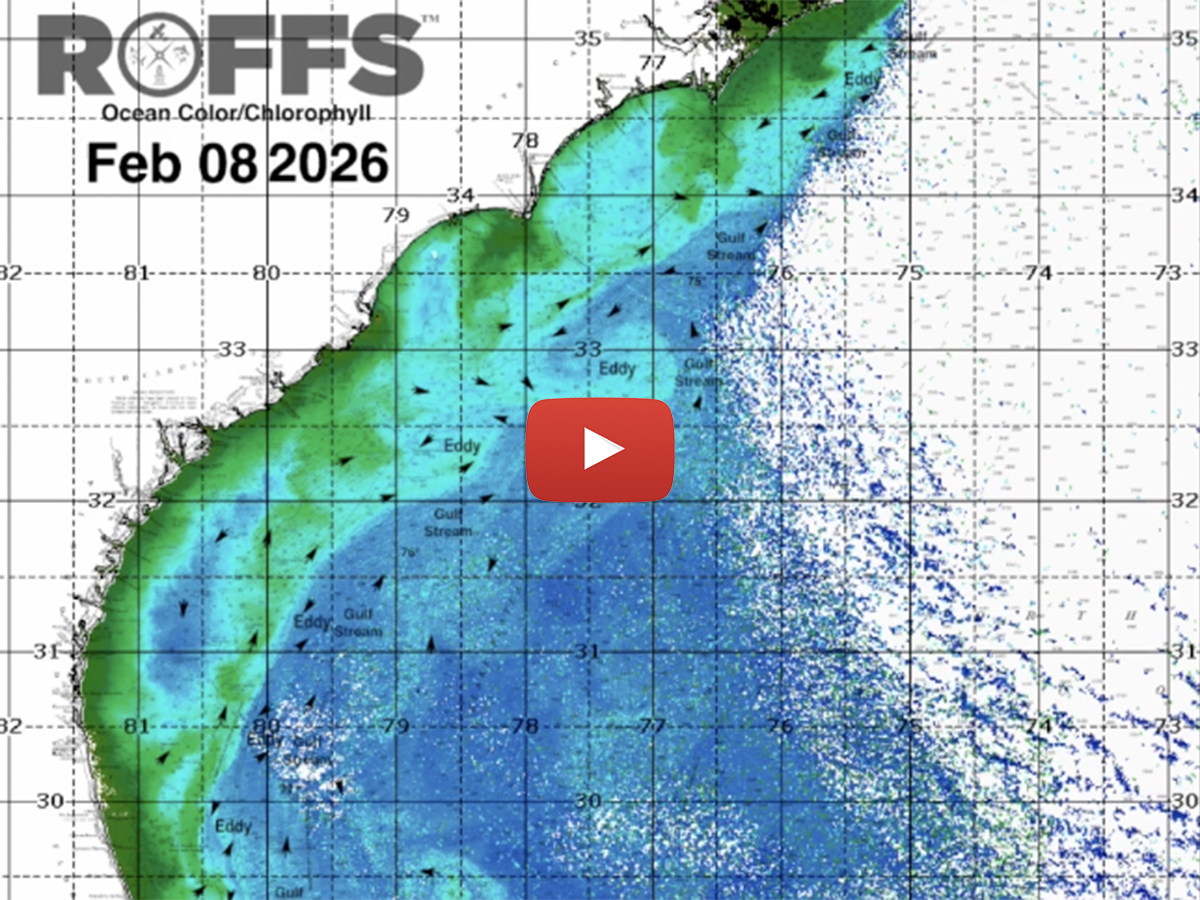 Be sure to check out our YouTube channel for our latest Southeastern U.S. ocean conditions update.

youtube.com/watch?v=hF9Kpv…

#ROFFS #ROFFSFishing #oceanconditions #southeasternusoceanconditions #southeasternusfishing #southeasternusupdate