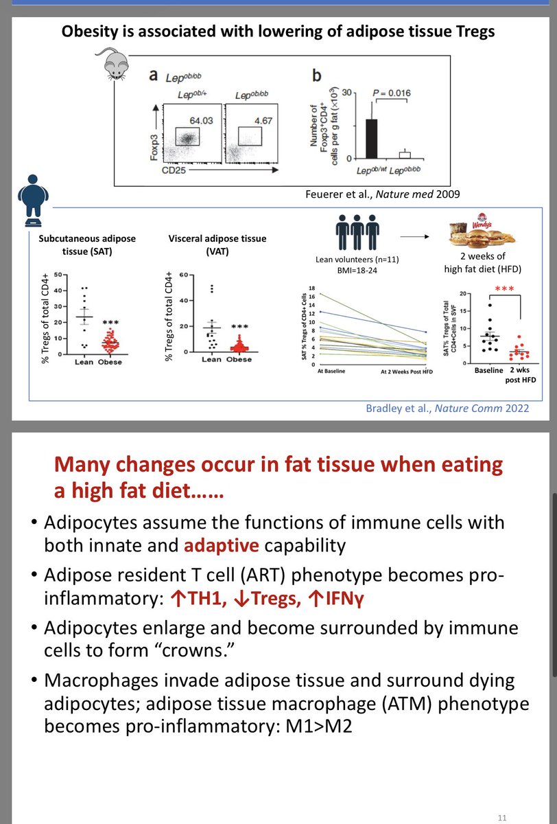 TheDaoIndex tweet media