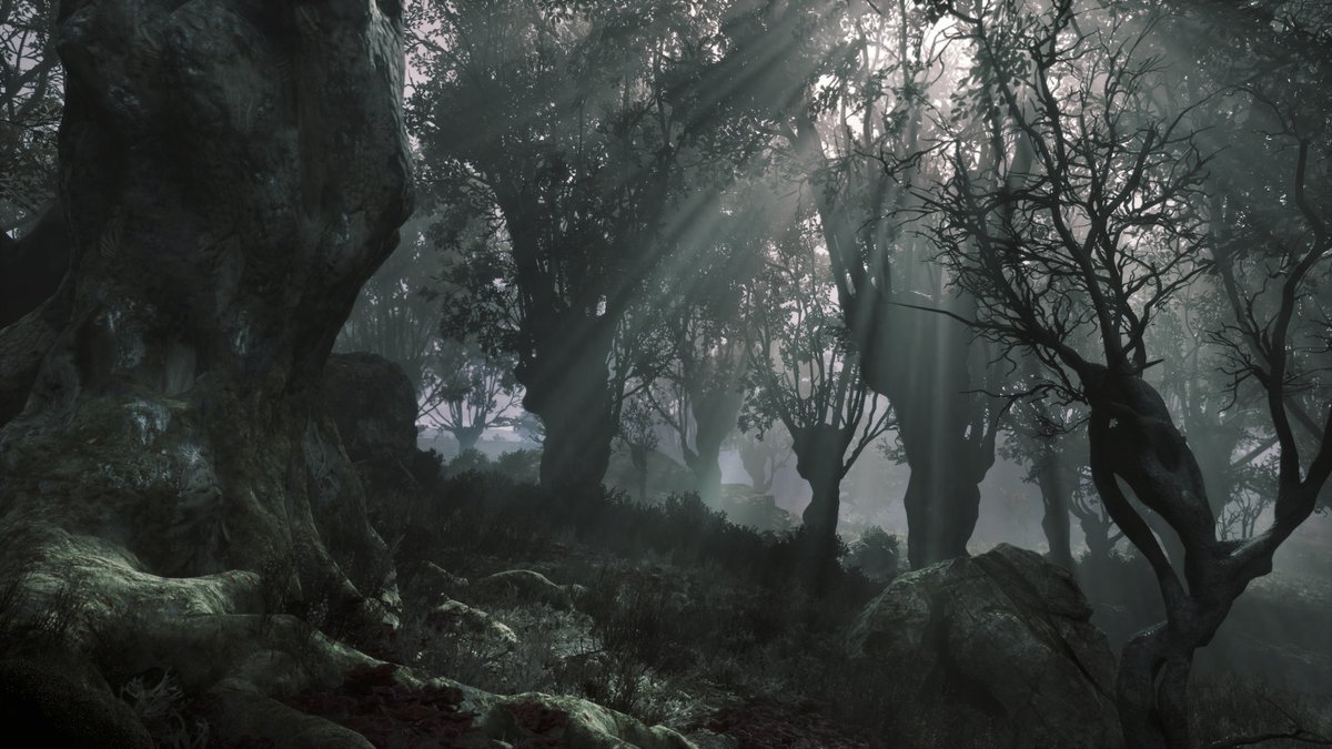 CornuUni's tweet photo. Pax Dei II 🌑
#PaxDei #screenshot #enviorment #forest #night #godrays #moonrays https://t.co/Zg9TKvbvUr