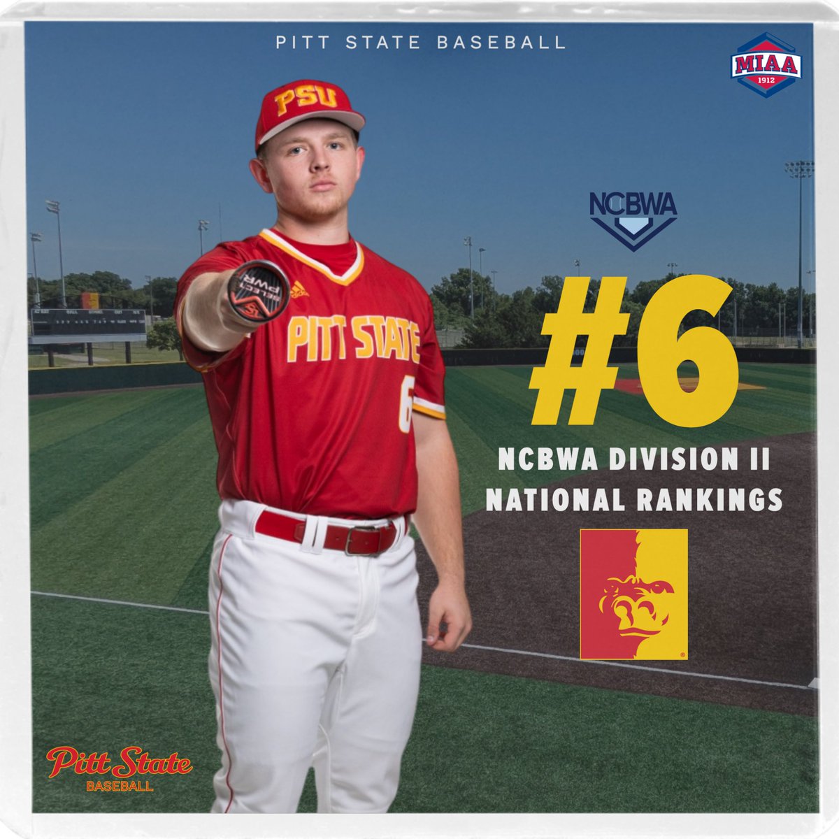 Pitt State Athletics 🦍 tweet media