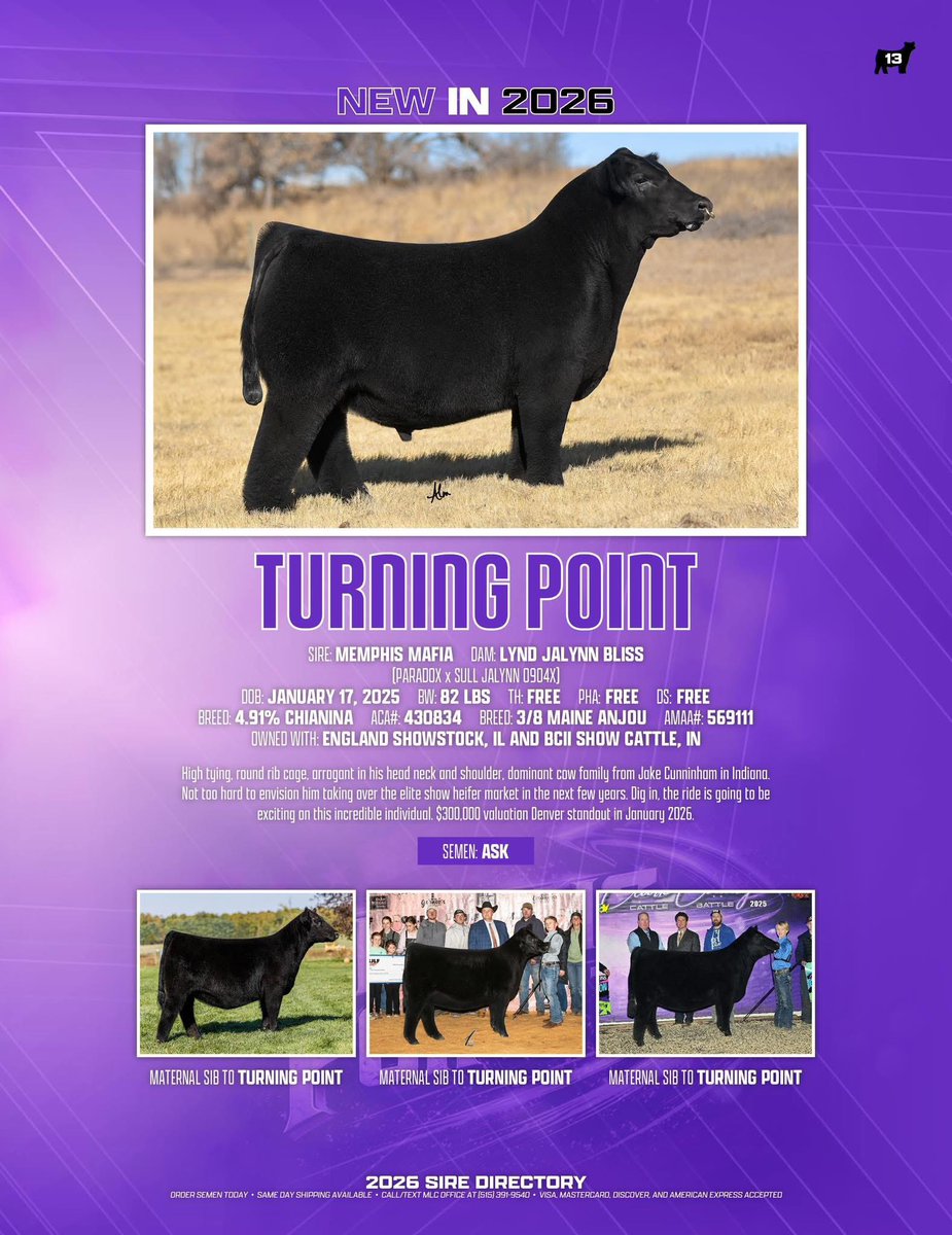 mattlautner's tweet image. #TurningPoint 

sconlinesales.com/Bids/AuctionsL…

The $300,000 Valuation Denver Sensation First Straws Selling Today Only On Public Auction On SC Online Sales  

#ESSBulls #MLCSires #TurningPoint