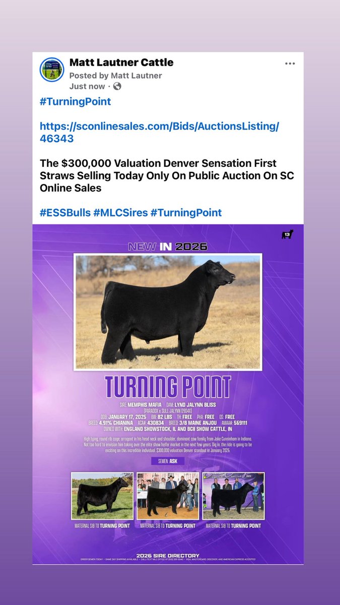 mattlautner's tweet image. #TurningPoint 

sconlinesales.com/Bids/AuctionsL…

The $300,000 Valuation Denver Sensation First Straws Selling Today Only On Public Auction On SC Online Sales  

#ESSBulls #MLCSires #TurningPoint