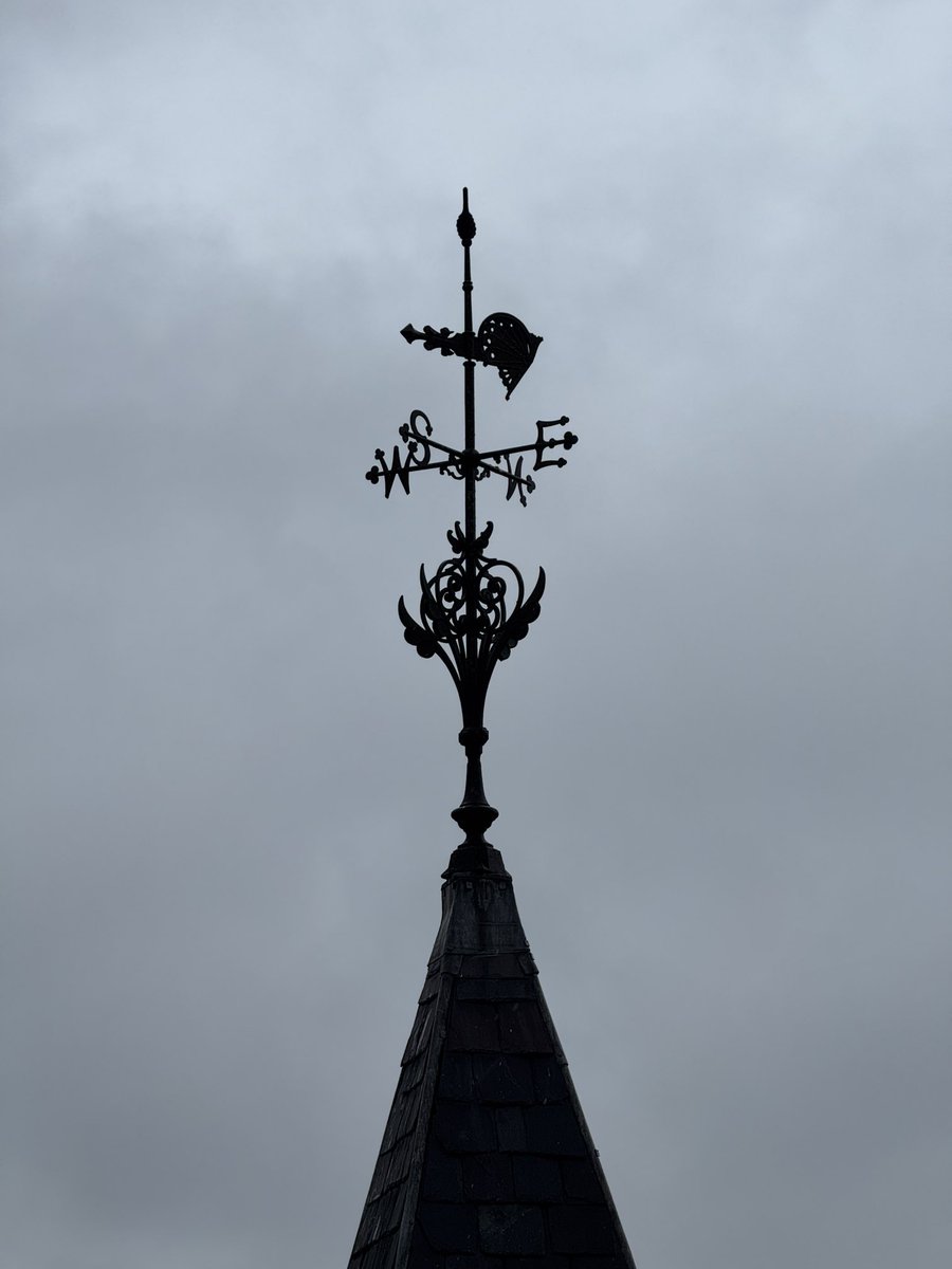 Dr David Mitchell tweet media