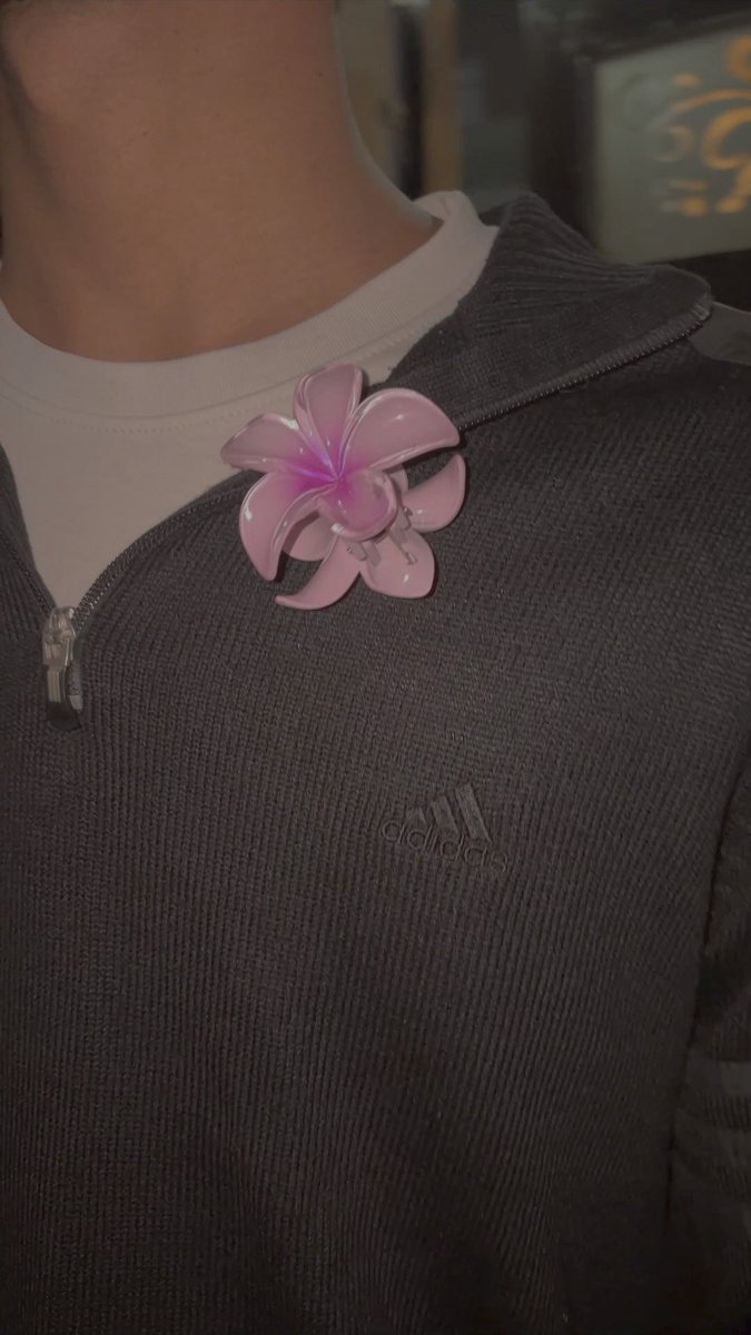 ⠀⠀⠀

                         —— Life lately.