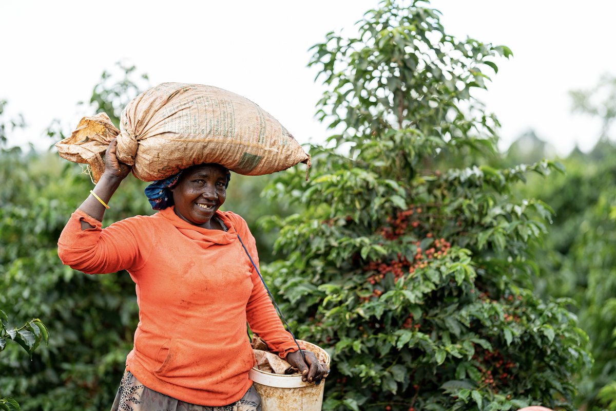 NEW COFFEE RELEASE

PERU | DOMINGA 
Plum • White Chocolate • Orange Peel

KENYA | MUINAMI ESTATE

Raspberry • Clove • Clementine“those who work.”

Both coffees are in-store and online. Try in them in the cafe on Slow Bar!