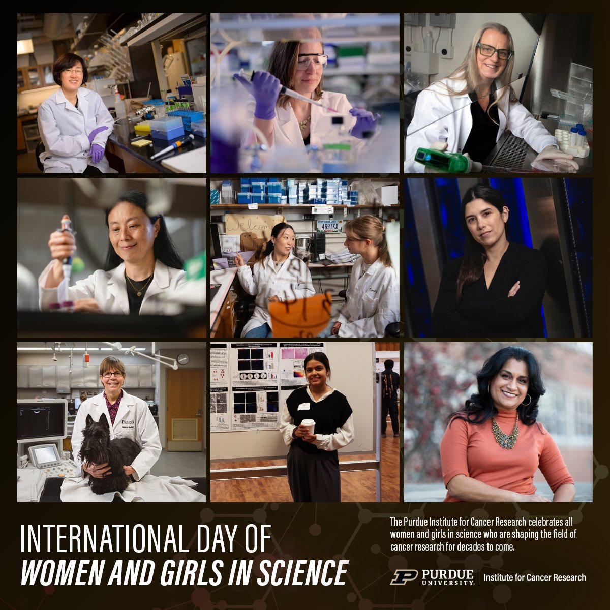 Purdue Institute for Cancer Research tweet media