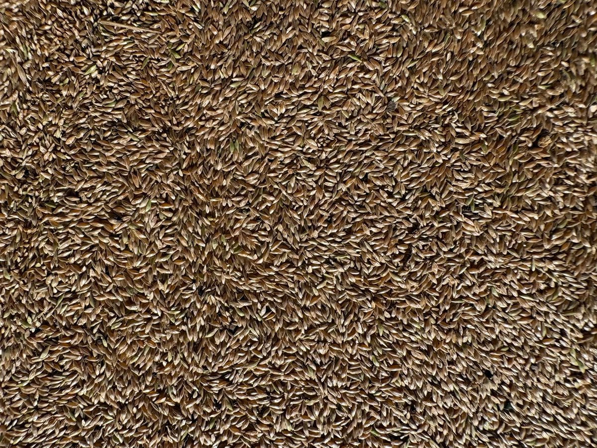 Pasture Genetics tweet media