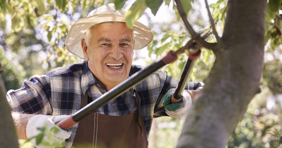 CAFMadrid's tweet image. 🌳 ¿Puede la comunidad de propietarios cortar un árbol del #jardín que me da #privacidad? ¿Qué ocurre cuando las decisiones afectan de manera directa y negativa a uno de los propietarios?   

👇 Lo explicamos en este artículo para @idealista 
buff.ly/VvrrgND