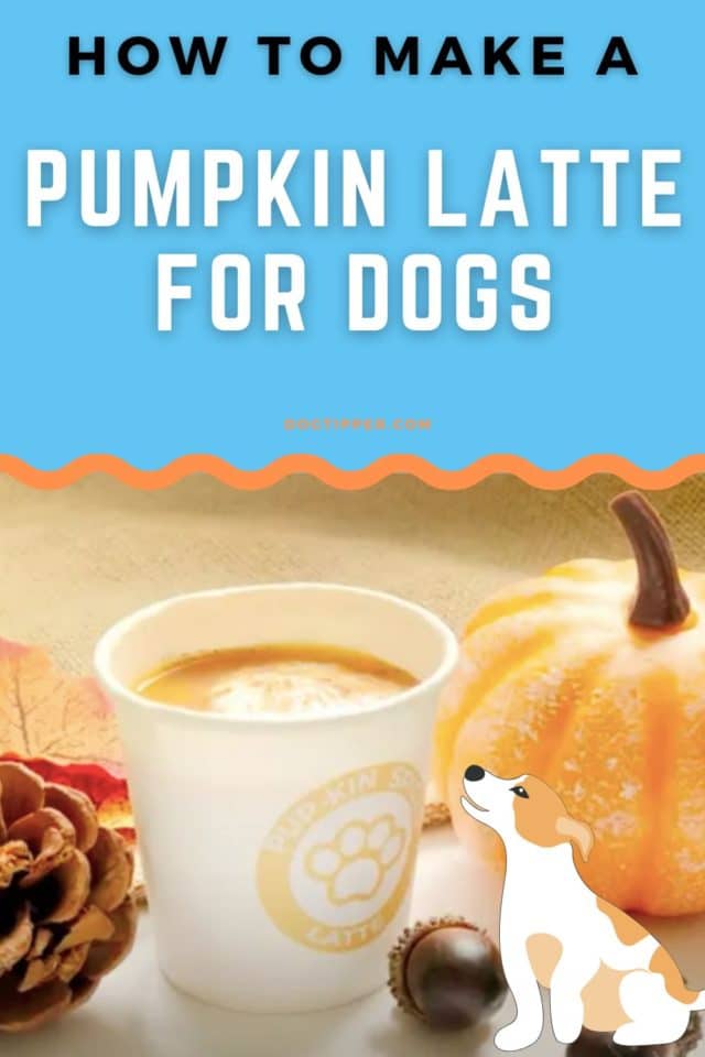 Today is National Latte Day! To celebrate, here's how you can make a pumpkin latte for your dog! dogtipper.com/pumpkin-latte-…