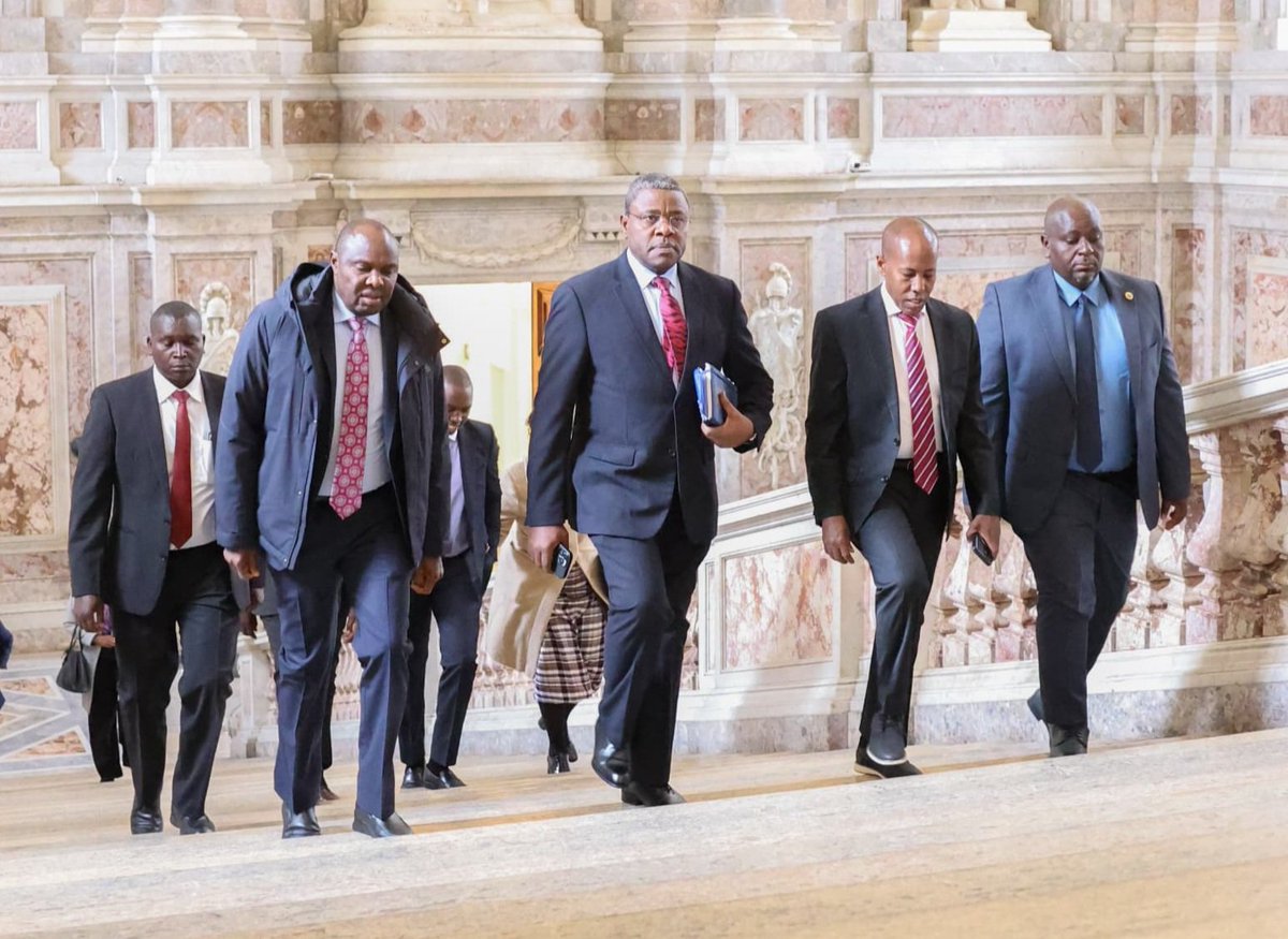 Peter Quest tweet media