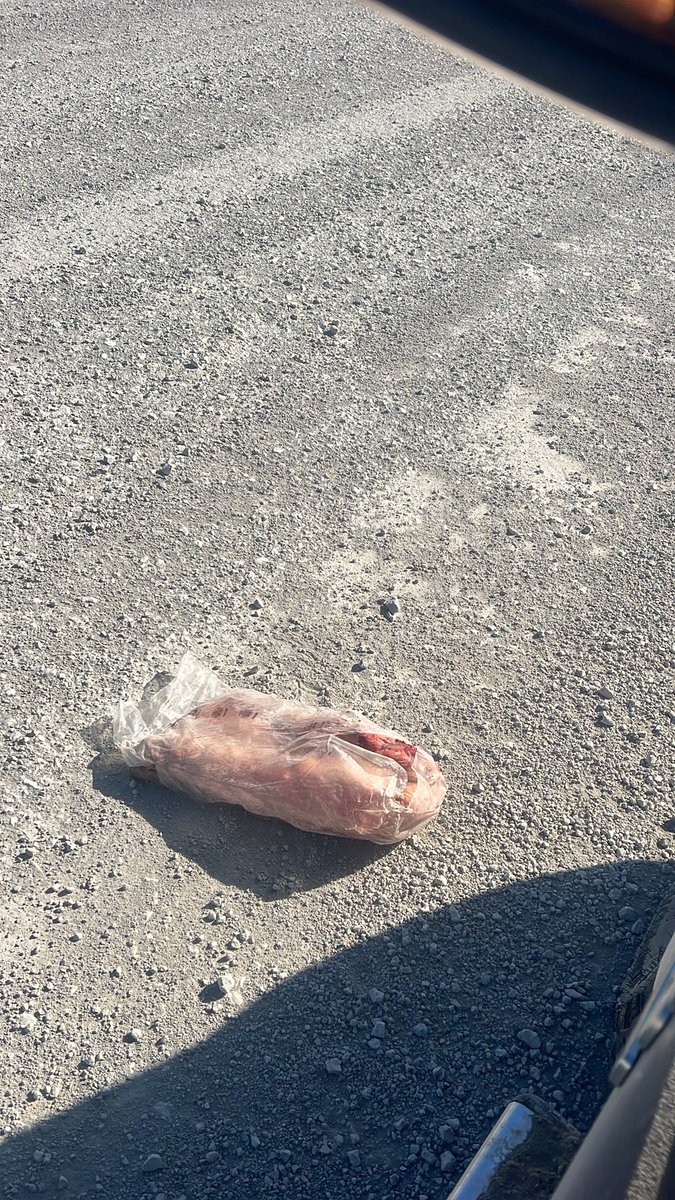 Jared Fischer tweet media