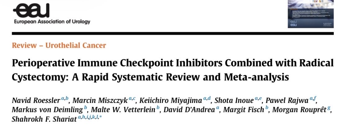 Navid Roessler tweet media