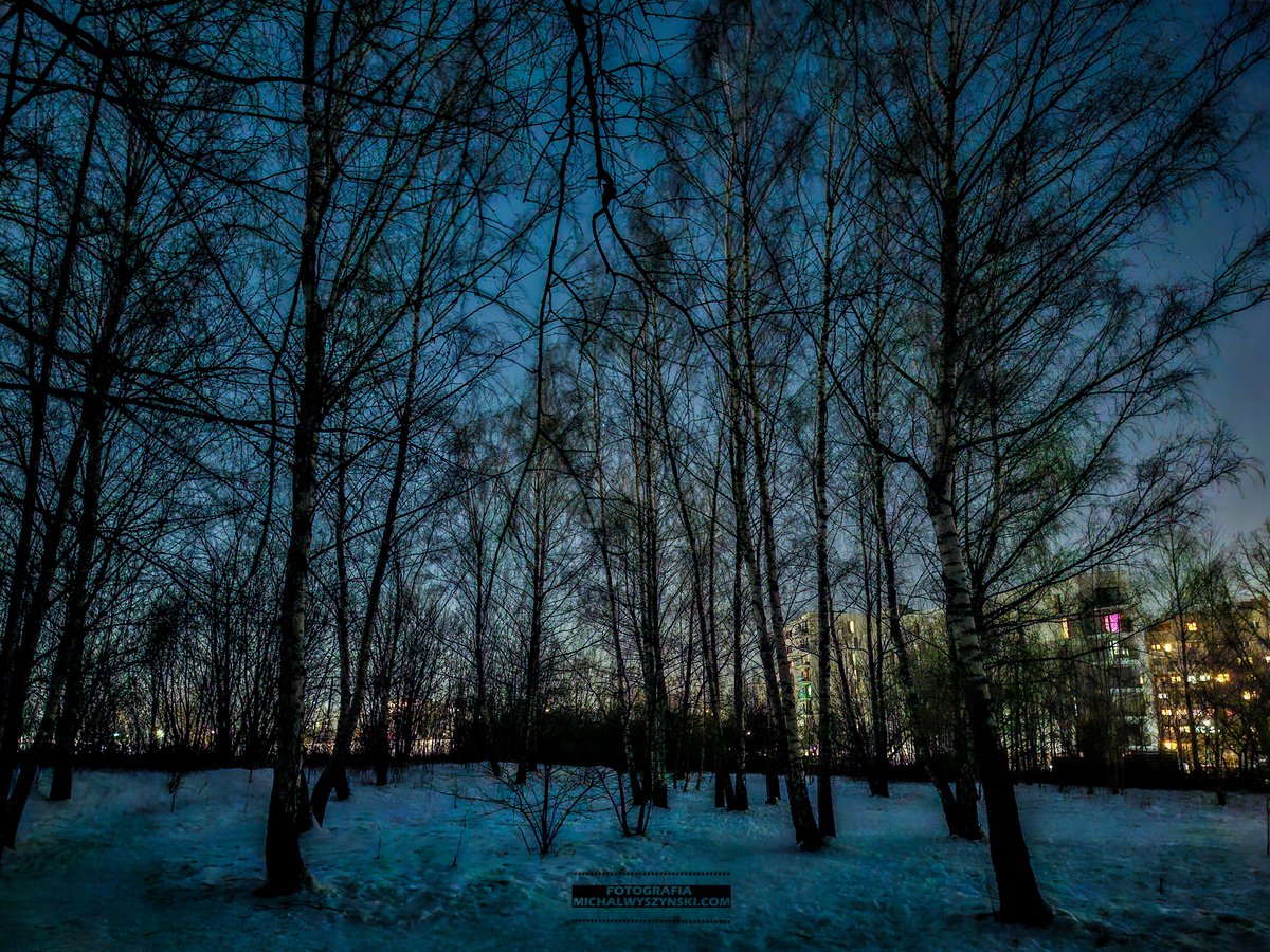 Górce, Bemowo, Warszawa
4 °C 📷
#fotografia #warszawa #warsawphoto #architektura #panorama #bemowo #Osiedlegórce #góre #górcewarszawa #warszawa #bemowogórce #górcebemowo #górceosiedle #landscape #hereinwarsaw #stolica #wwa #photography #krajobraz #miasto