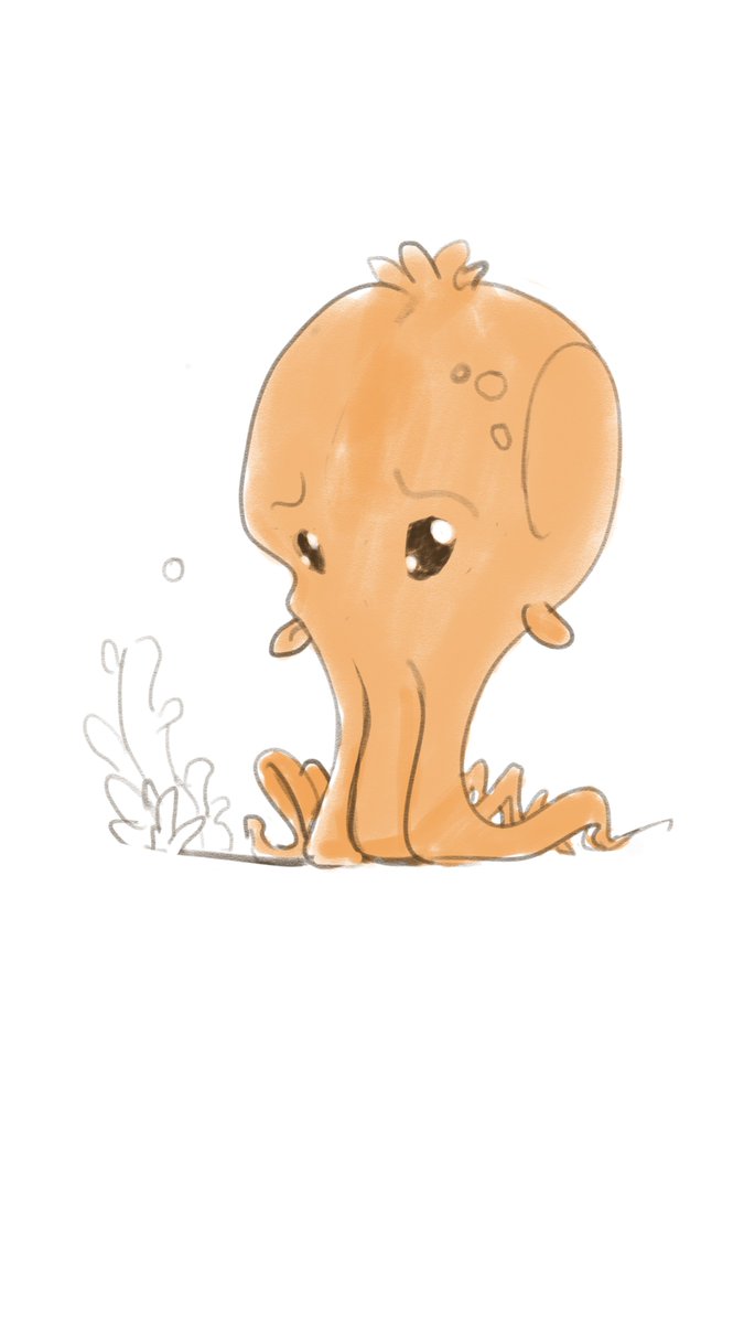 Jimmy Duda tweet media