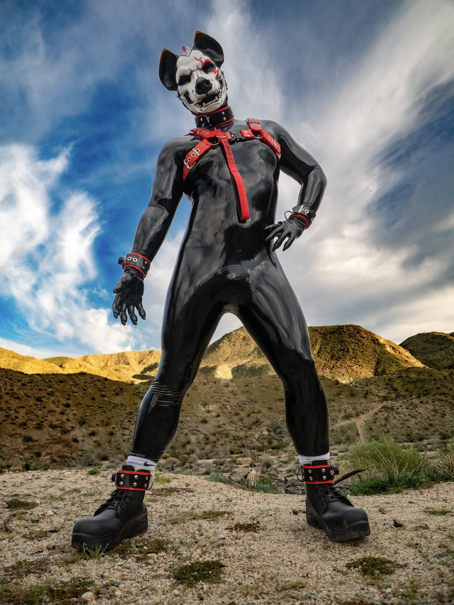 You have a stunning view, don’t you? 

📷<a href="/BritishBound1/">BritishBound 🔜 MIR</a>