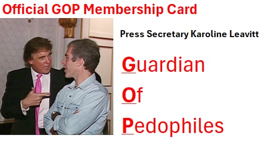 Vikesfan1963's tweet photo. #GOP membership cards should be  displayed by any GOP member who refuses to take action https://t.co/baTHP7SZGR
