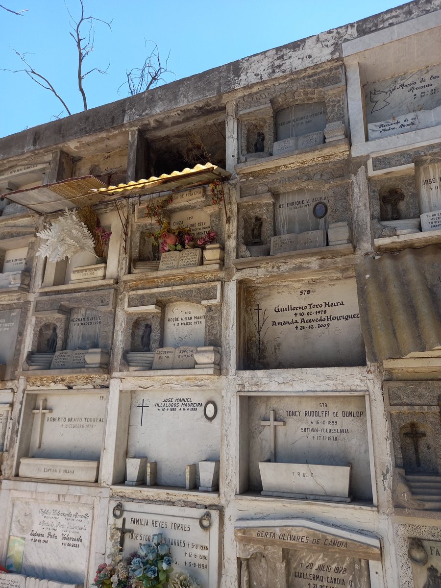 Vengo llegando del Cementerio General y veo que al muro de los Detenidos Desaparecidos le están haciendo mantención pero veo que hay prioridades y hay sectores que hay que hacerles reparaciones y mantención.. obvio ésto es sin ideología política 
<a href="/Muni_Recoleta/">Municipalidad de Recoleta</a> <a href="/cementeriogral/">Cementerio General de Recoleta</a>