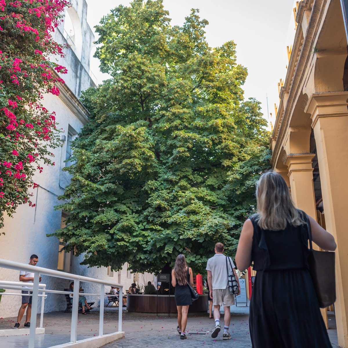 CENTRO CULTURAL RECOLETA tweet media