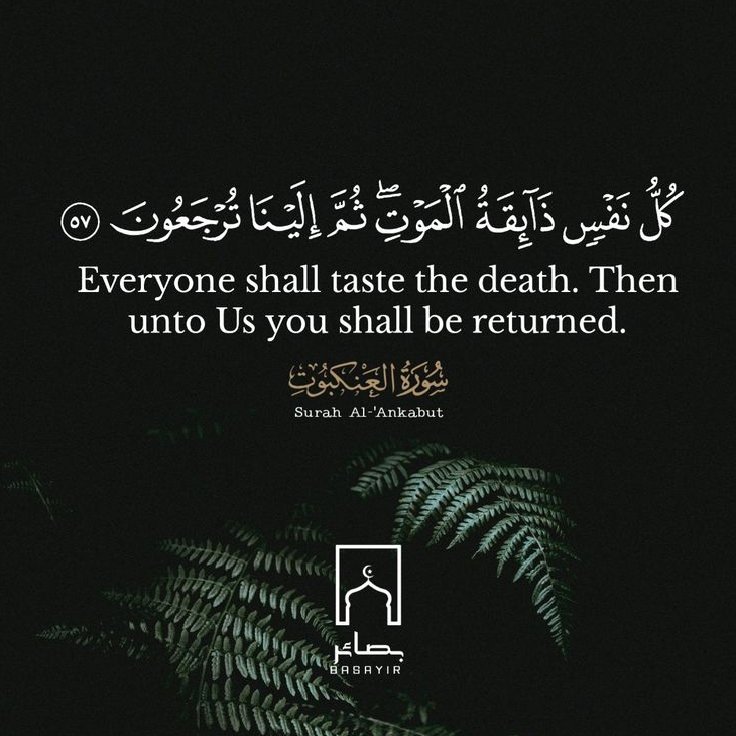 Ziane Maamar tweet media