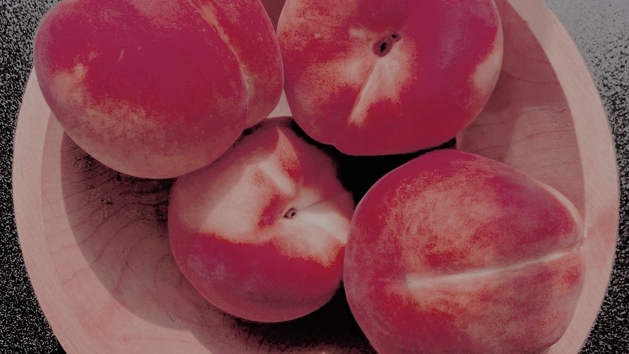 ᅠᅠ

ᅠ
She left out a bowl of peaches for <a href="/suceurval/">‎ ⊰ 🦇─── ‍‍ ̷̸ ‍‍ 𝖁･</a> to enjoy.
ᅠᅠ

ᅠ