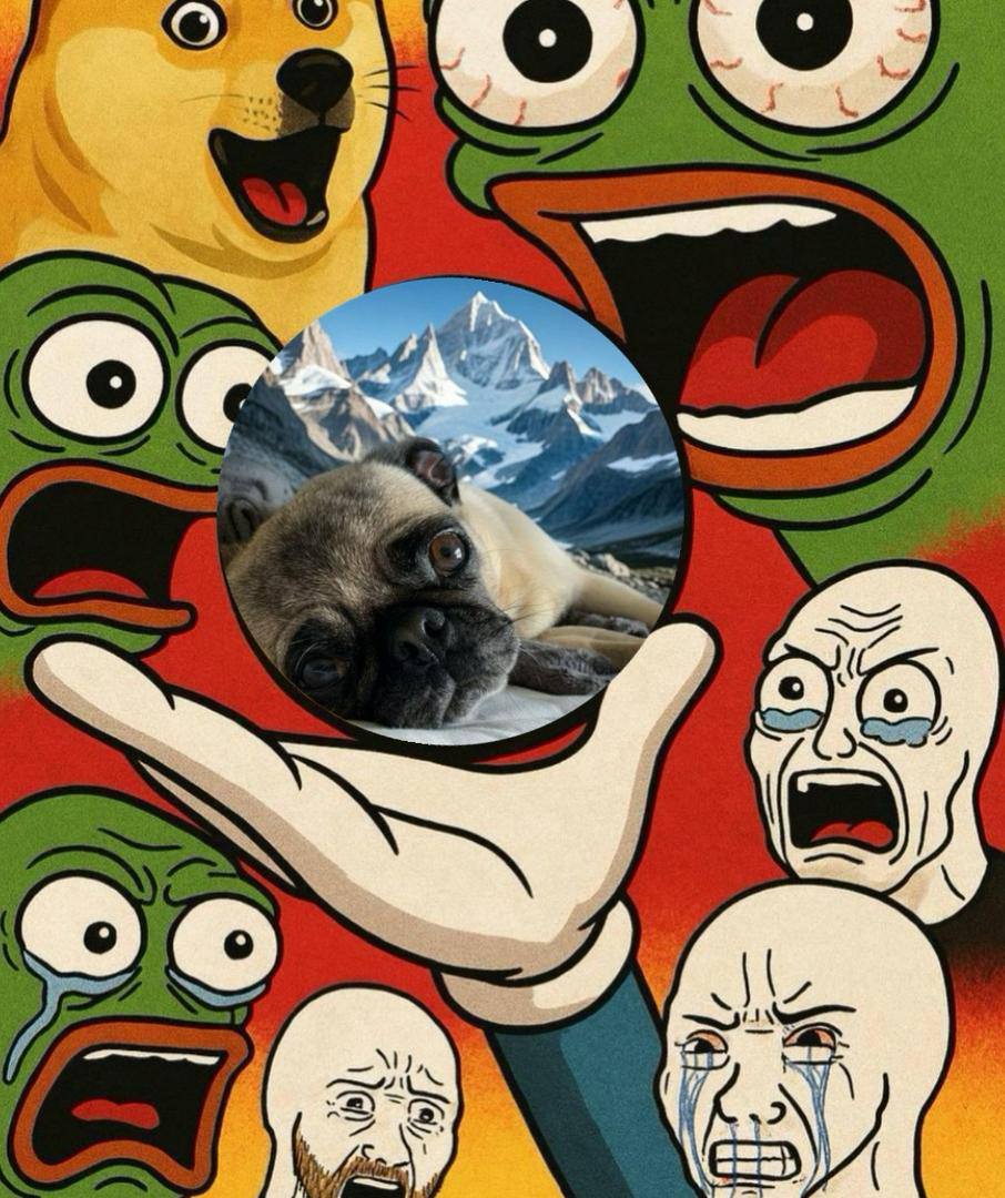 InnerHealthTdy's tweet photo. @soapweb3 $pugluv? #pugpack https://t.co/IcnqXAWP06