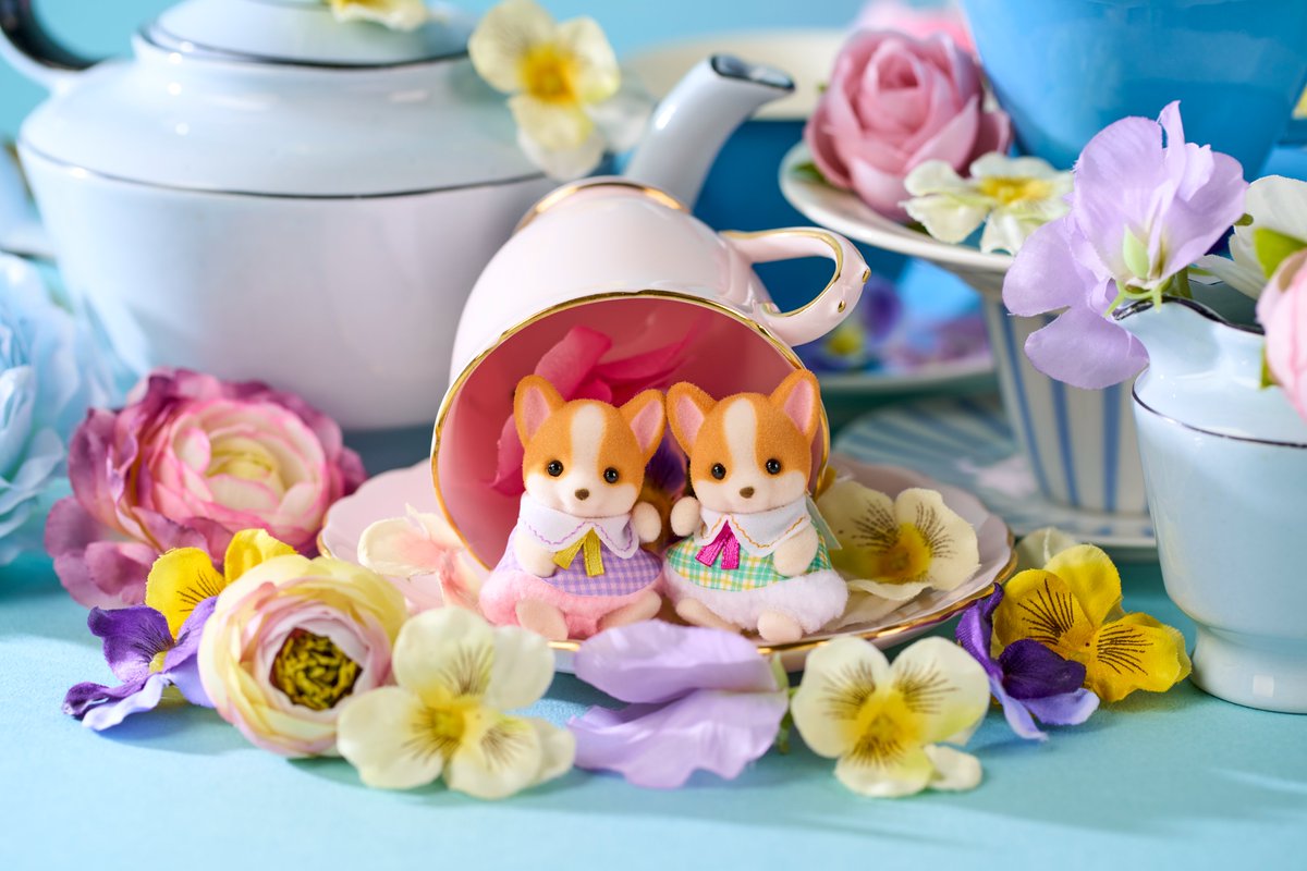 SylvanianEC_JP's tweet photo. ／
📣本日2/12(木)予約開始！
＼

にっこり顔とモコモコのお洋服がかわいい✨チェック柄のリンクコーデもとってもオシャレ🎵
『コーギーファミリー』

発売：2/21(土)

※開始直後はページがつながりにくい場合がございます。少し時間を置いてから、ページを更新してください。 https://t.co/PKGiXNrdAv