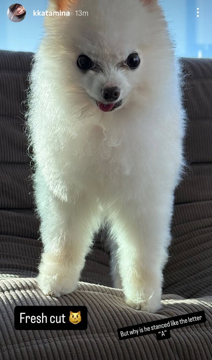 sam is w i t h e r i n g 🥀 tweet media