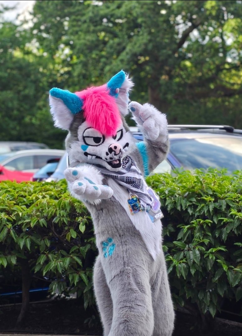 Fuze⚡️ tweet media