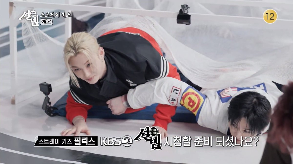 냥냥이들 열심히 했네 아 귀여워 재밌겠다!