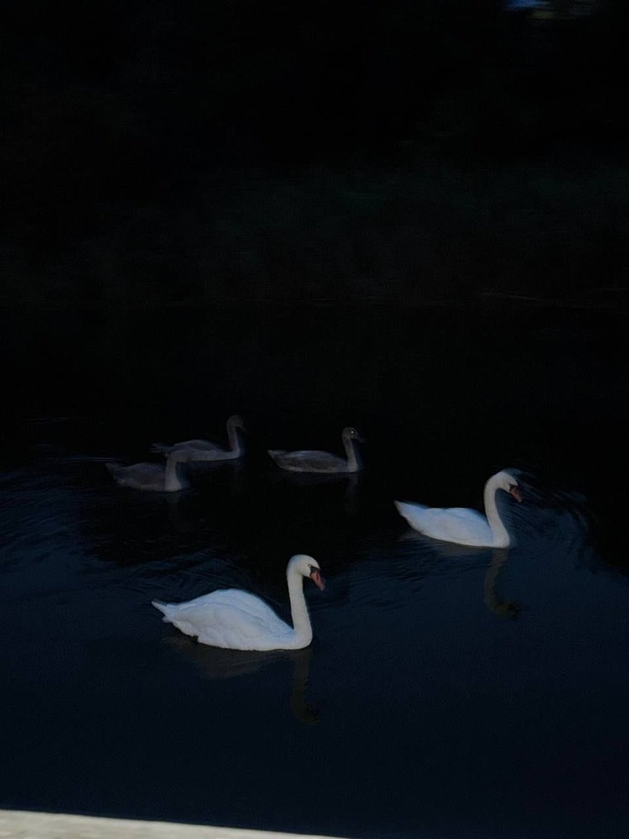 بحر 🌊 (@butterflless) on Twitter photo 