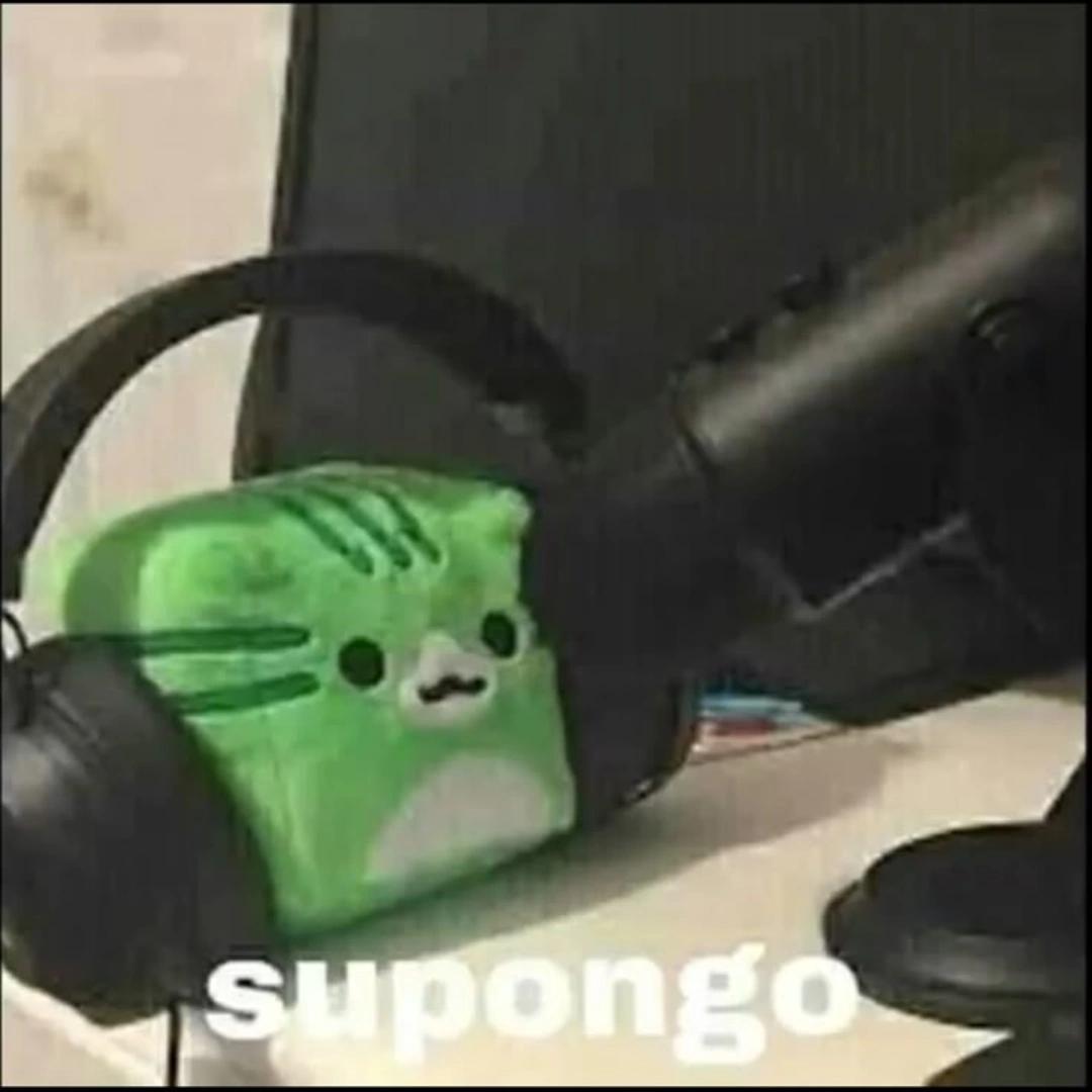 Cristofer BaD tweet media