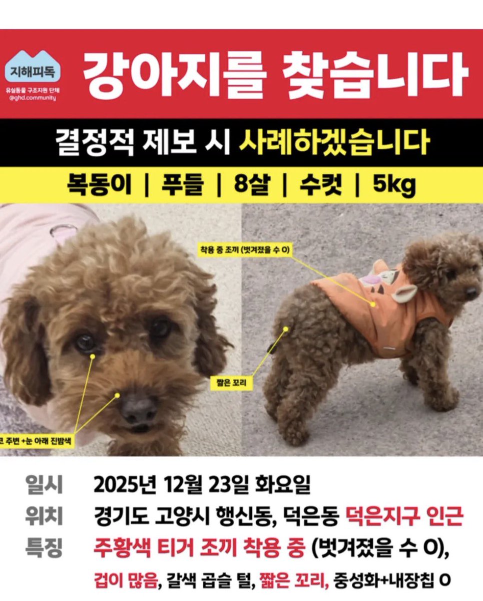 xwanwan15's tweet image. 현재 상황 이에요🥲🥲😭😭