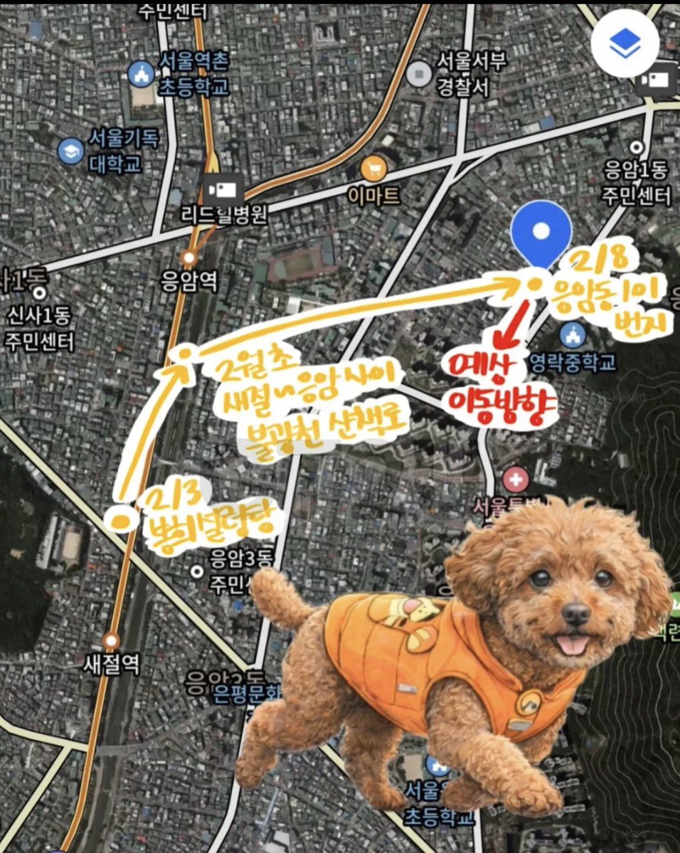 xwanwan15's tweet image. 현재 상황 이에요🥲🥲😭😭