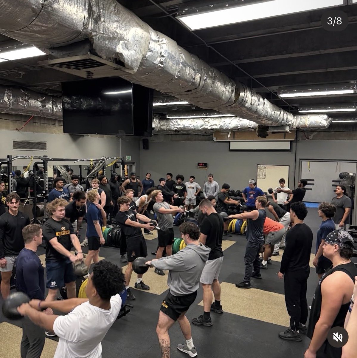 Omar Colon tweet media