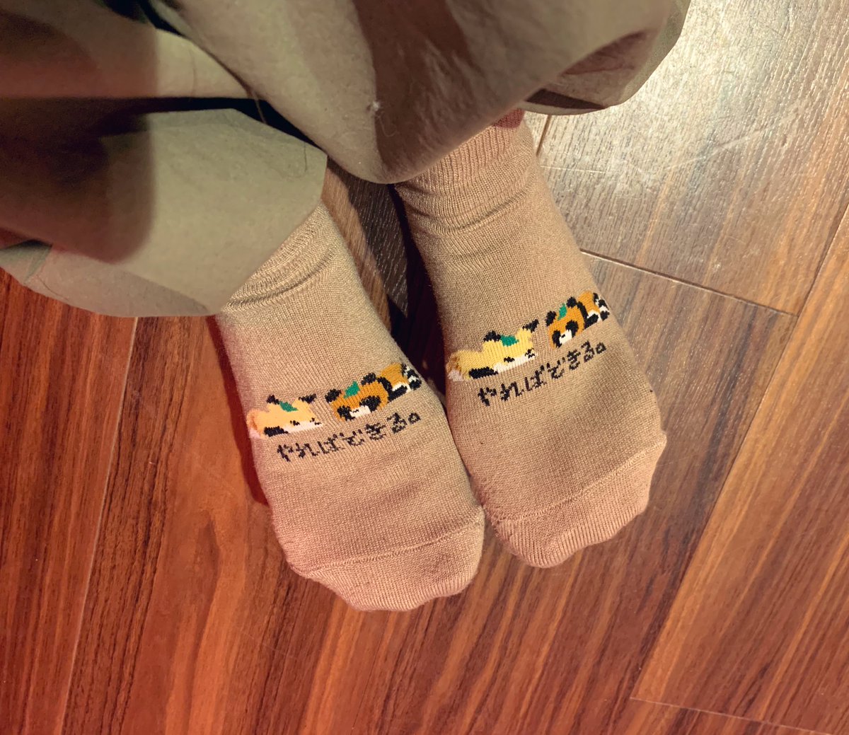 白鼬うなぎ(おこじょうなぎ) 【わたひめ】 tweet media