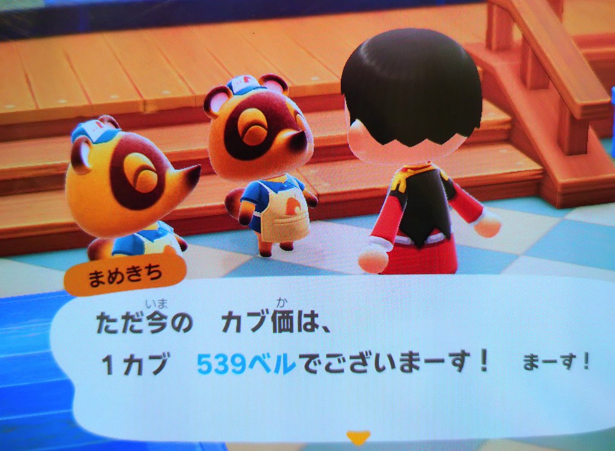 昨日に引き続き、あつ森カブ価539ベルです。 注意事項をご確認の上ご
