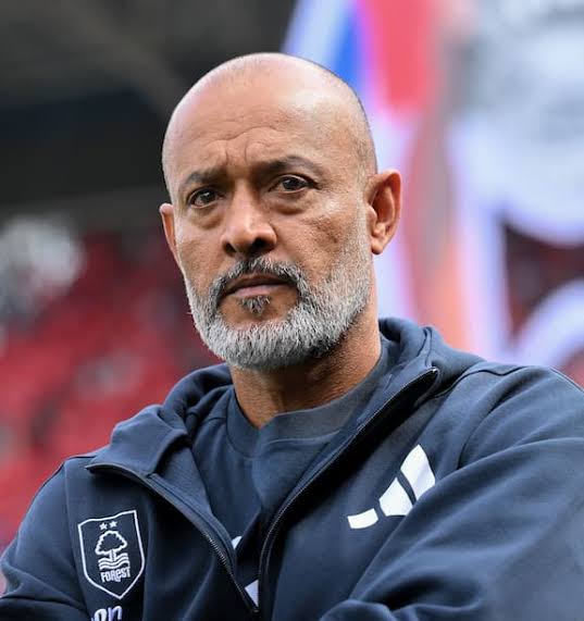 <a href="/NFFC/">Nottingham Forest</a> You need to apologize to this guy.