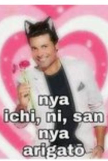 tayzinha maloka tweet media