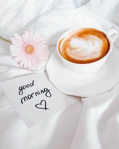 Good morning X family 

Have a nice day 🙂

#IranMassacre #SAvsAFG #ENGvsWI