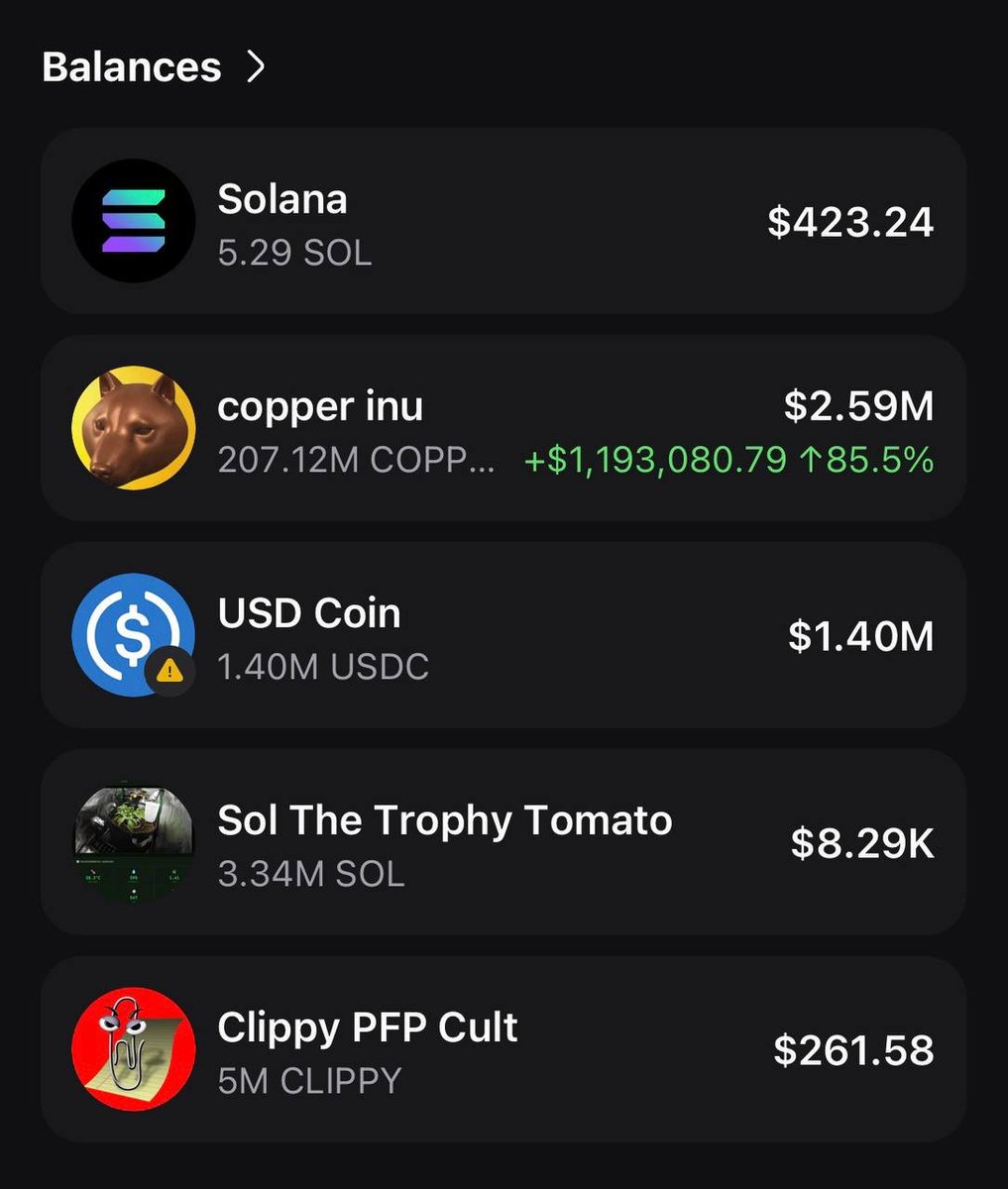 PumpfunEco's tweet image. The top holder of $COPPERINU is sitting on a $1,193,080 position 🔥