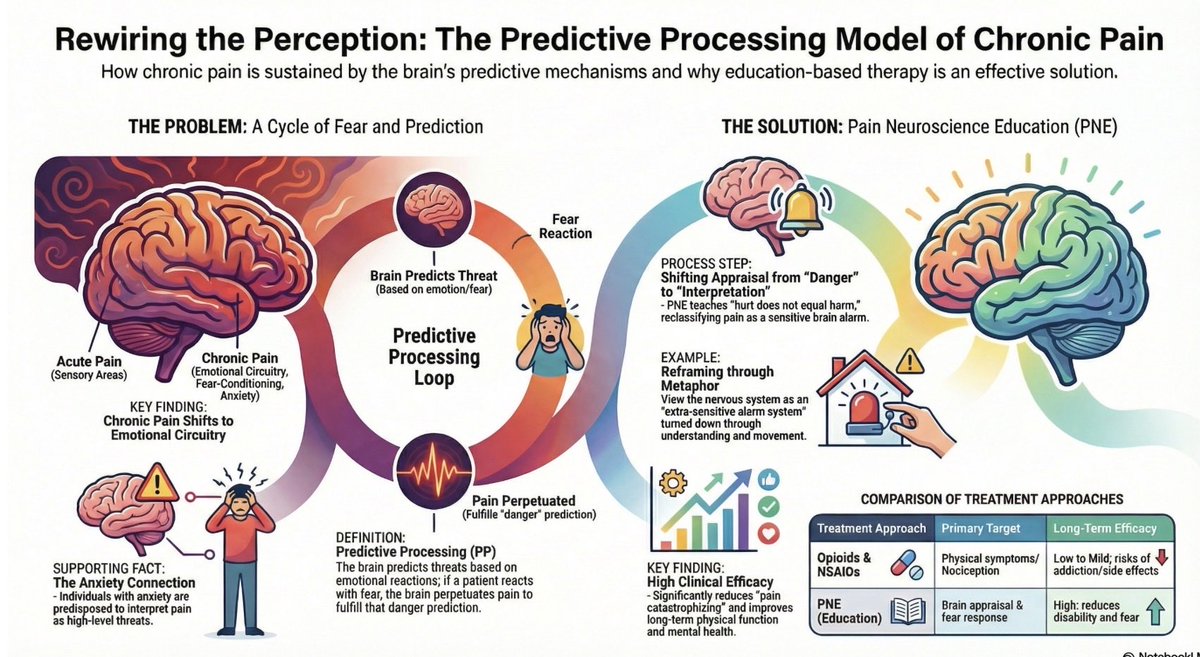 ɹǝʇlnoԀ pıʌɐᗡ 🚴🏻 🇺🇸 🇦🇺 🇬🇧 tweet media