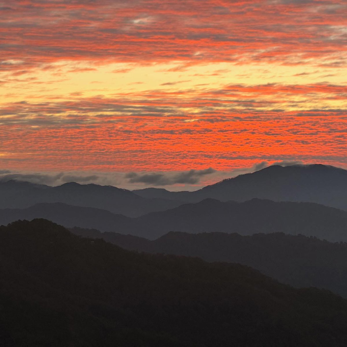 Flip Martinez tweet media