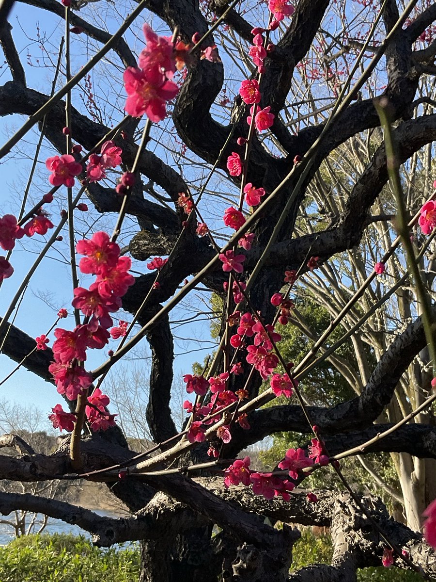 chachako·K (@goiuHFVZQB60r6O) / Posts / X