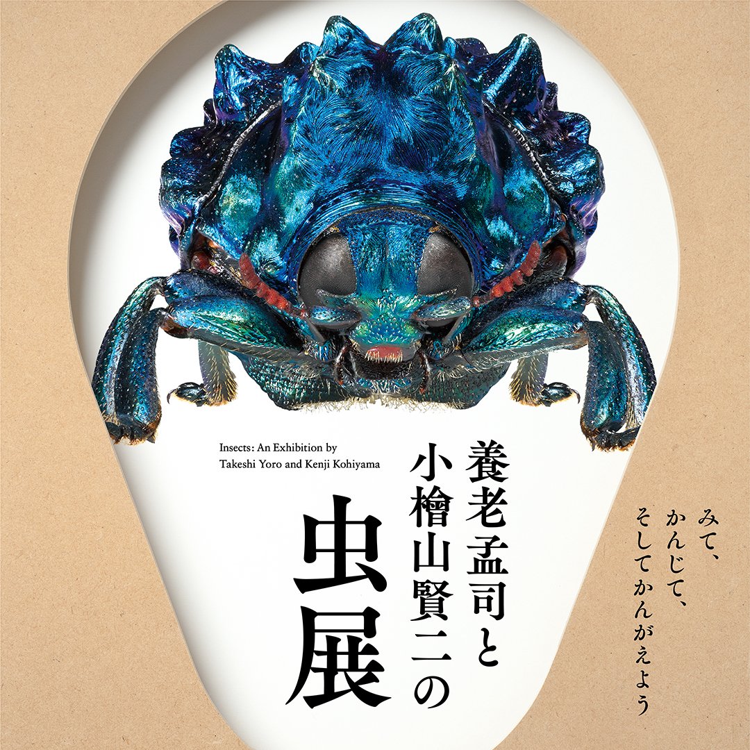 yoro_mushi's tweet photo. 「養老孟司と小檜山賢二の虫展」
会場：東京都写真美術館
会期：2026年3月21日～5月24日

解剖学者で、大の虫好きとしても知られる養老孟司。そして、対象物の全てにピントがあう深度合成技法を駆使し、昆虫写真の新たな可能性を切り拓いた小檜山賢二。長年の虫友だちであるふたりの展覧会です。 https://t.co/IJxETrir4X