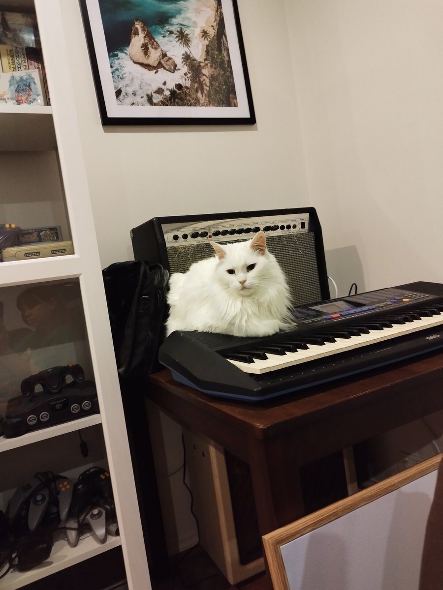 Siblings of Scruffkit tweet media