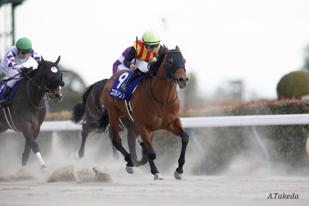 JRAウインズ (@jrawinsofficial) / Posts / X