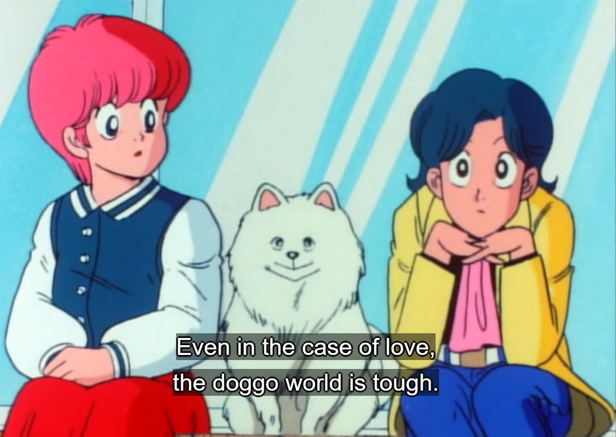loyal dog... who? (@loyaldogdoremi) on Twitter photo 